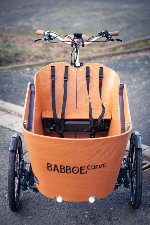 babboe mountain carve